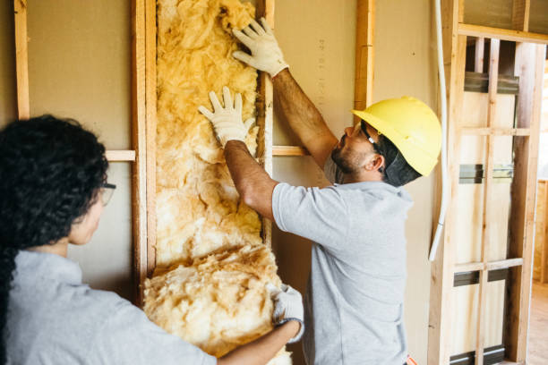 Best Insulation Inspection Services  in Dassel, MN