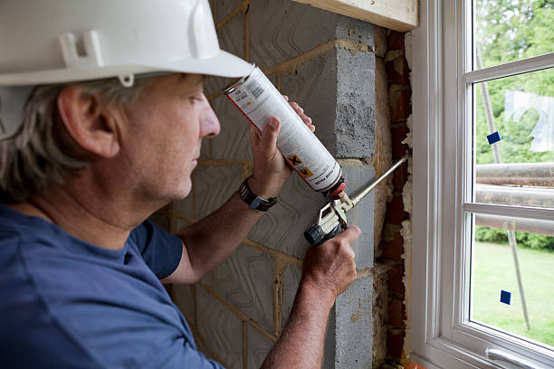 Best Insulation for New Construction  in Dassel, MN
