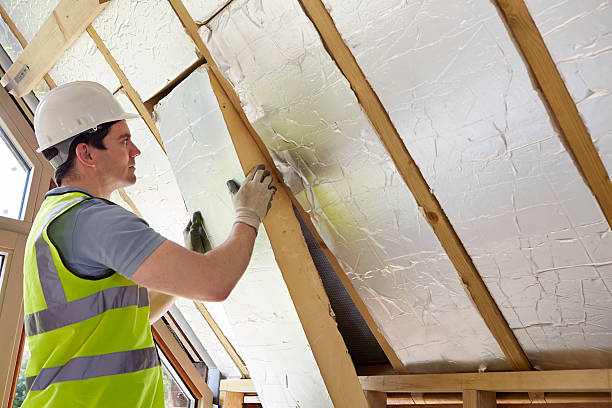 Best Attic Insulation Installation  in Dassel, MN